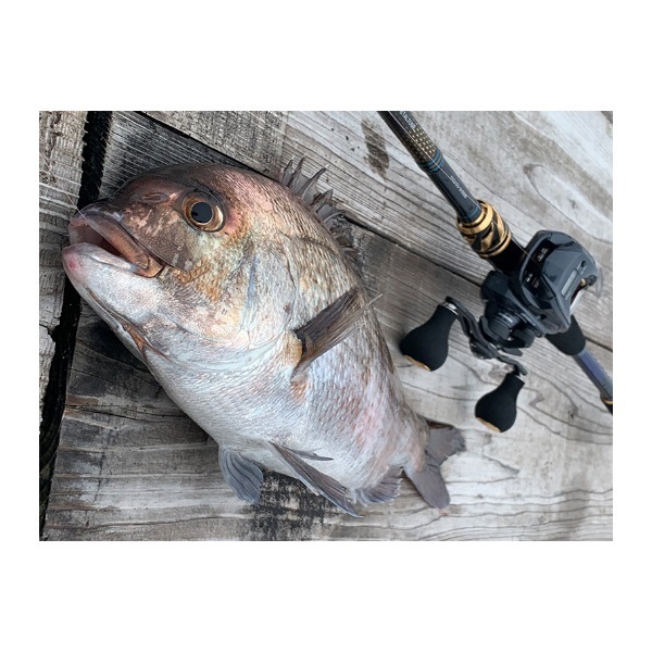 25クラブブルーキャビンメタルチューンさぐりづり